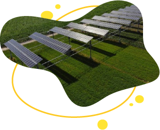 Placas-solares-en-agricultura-zaragoza